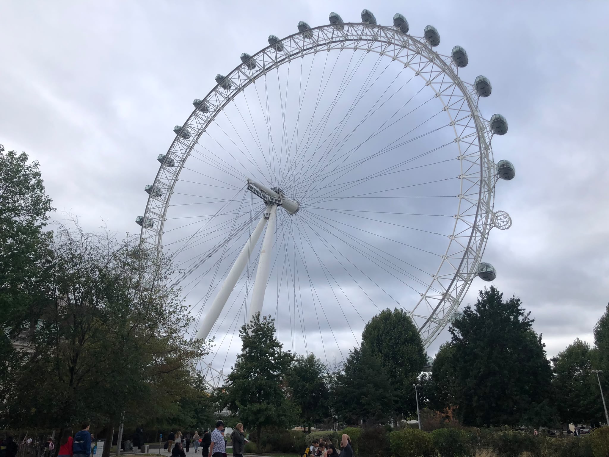 The London Eye seen through the trees of the South Bank